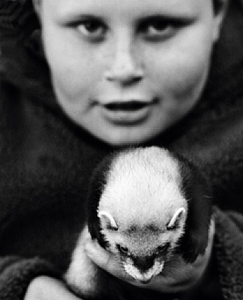 Steele-Perkins Chris