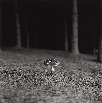 De Wurstemberger Hugues 