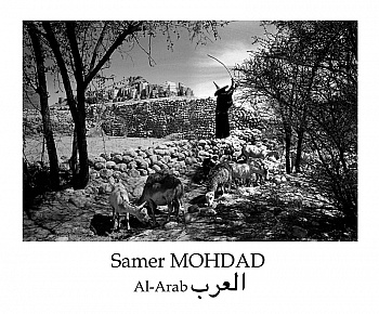 Mohdad Samer