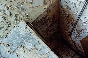 Lucchi Basili Lorenza 