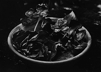 Gautrand Jean-Claude 