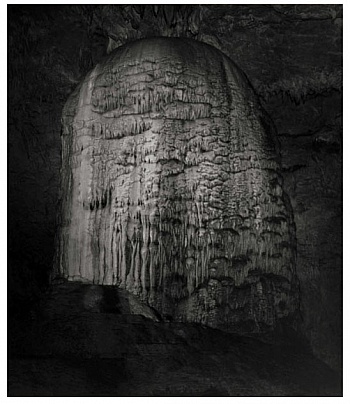 Christiaens Alexandre