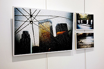 Wassenhove Bruno Van 