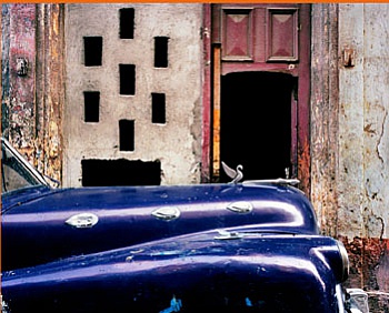 Ballot Jean-Christophe 