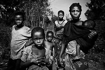 Sautereau Frédéric