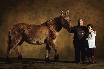 Arthus-Bertrand Yann 