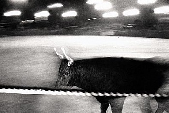 Béchet Jean-Christophe