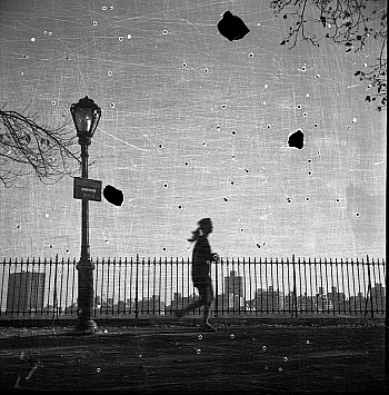 Bertrand-frézoul Bruno 