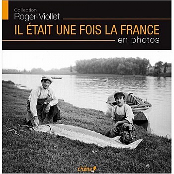 Viollet Roger 