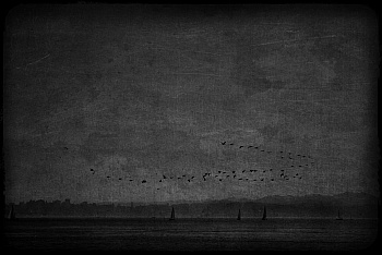 Hermand-Grisel Sandrine 