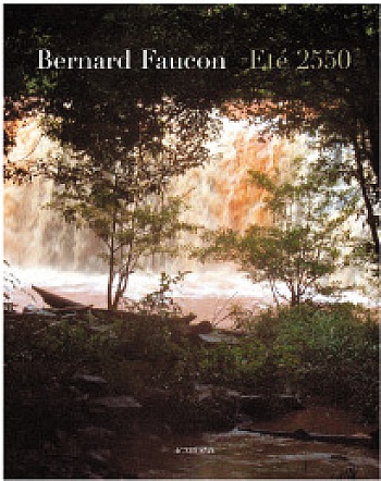 Faucon Bernard 