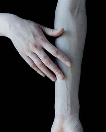 Van de Puttelaar Carla 