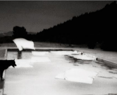 Corinne Mercadier - Longue distance