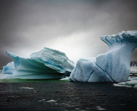 Sébastian Copeland - Expo-vente Antarctica