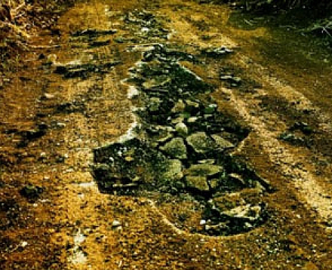 Sophie Riestelhueber - Compagnons de route