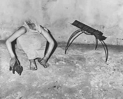 Roger Ballen Shadow Chamber, fotografie 1994-2004