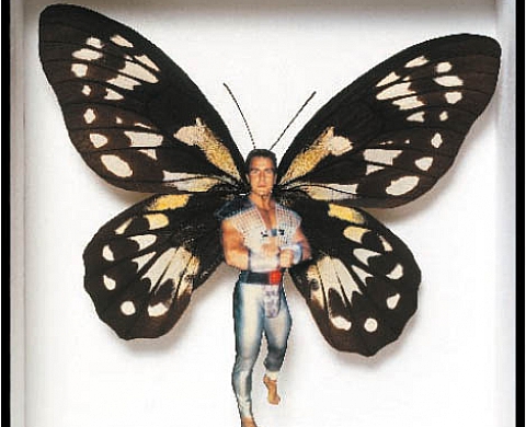 Martial Cherrier - Fly or die Martial Cherrier - Fly or die