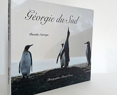 Géorgie du sud paradis sauvage - Pascal Cocco Géorgie du sud paradis sauvage - Pascal Cocco