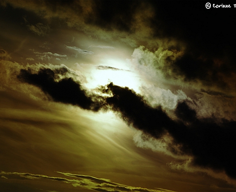 Exposition : « photos singulieres » par patrick poulain et corinne thouvenin.