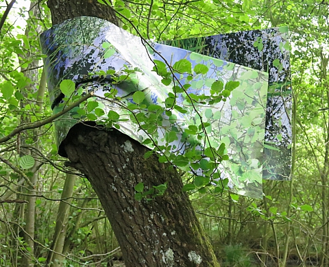 Parures d'arbres... ou comment la photographie s’invite dans la nature