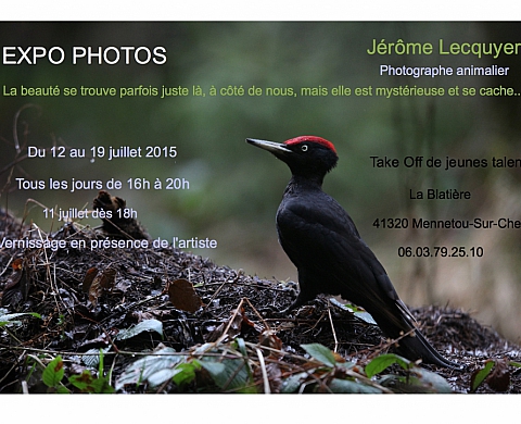 Exposition : Jérôme Lecquyer - murmures sauvage 