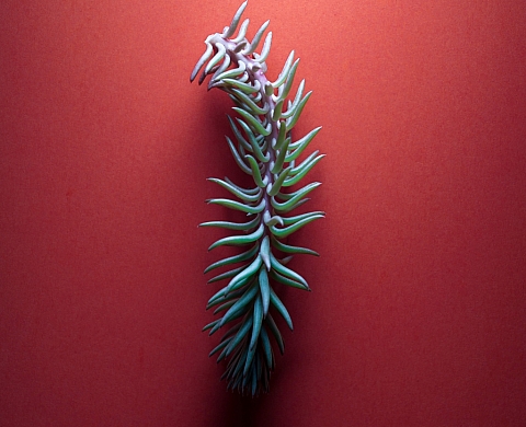 Exposition Benjamin Deroche - Les météores 