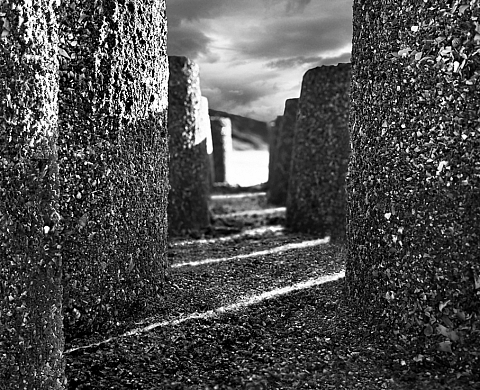 Architectures de sable tréhet 2015