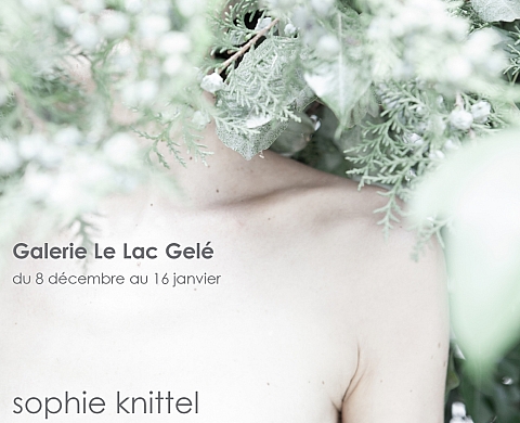 L'heure du loup à la galerie le lac gelé à nîmes