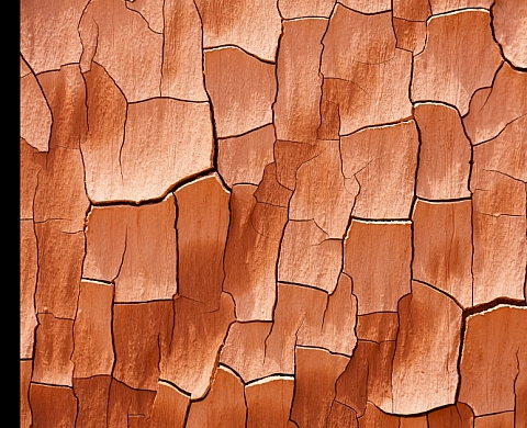 Terra ou les terres guyanaises - Ronan Liétar