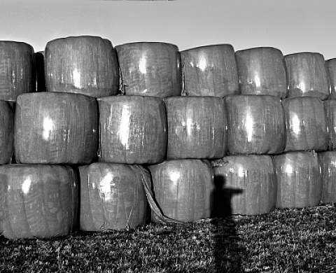 Exposition : ENROULEMENTS à la galerie du Curé (Luxembourg)