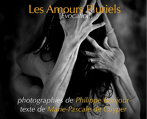 Les amours pluriels [Évocation] / festival européen de la photo de nu d'arles
