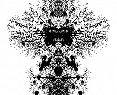 L'espace du dans exposition photographique de Ludovic Bourgeois.