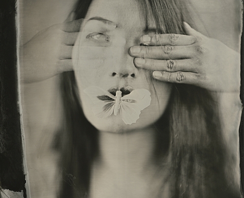 Chrysalides - festival segovia foto