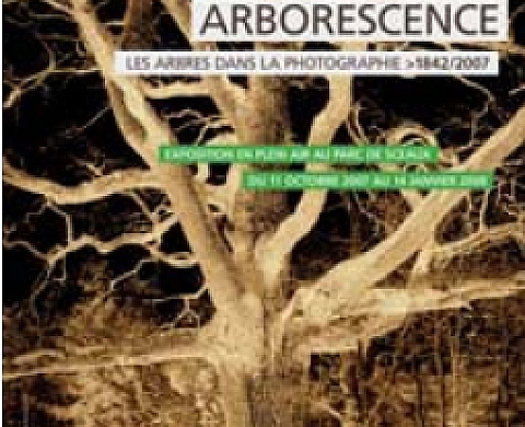 Les arbres dans la photographie 1842/2007