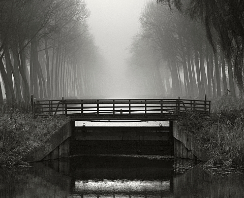 What remains? - Catherine Minala - dans le cadre des rencontres photographiques d'arlon 2016