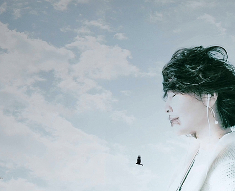 Festival International de Photographie Pil'Ours