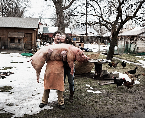 NO SIGNAL de Brice PORTOLANO