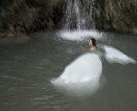 Flux, Olivier Marlard