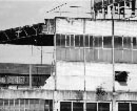 Laurence BAGOT - RENAULT, L'ILE SEGUIN : PERSPECTIVES Laurence BAGOT - RENAULT, L'ILE SEGUIN : PERSPECTIVES