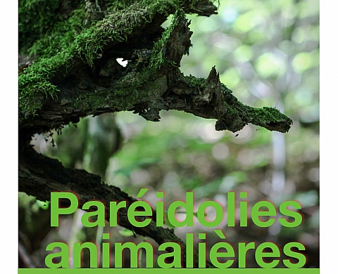 Paréidolies Animalières