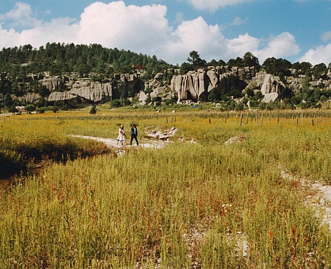 Koji Onaka //Memento vivere - 