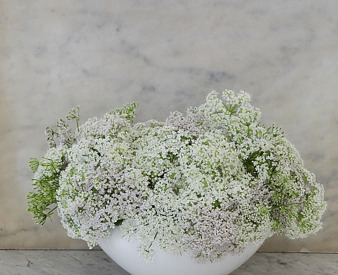 Exposition Françoise Saur