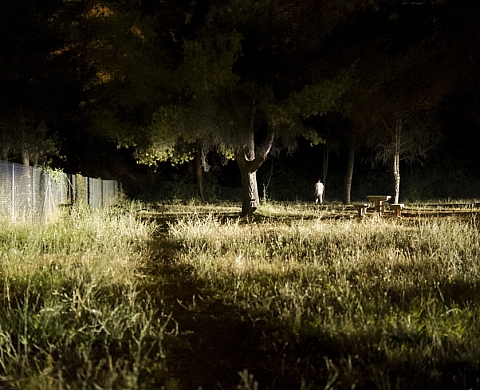 Les chemins égarés - Projet Cross media à la Galerie Vu'