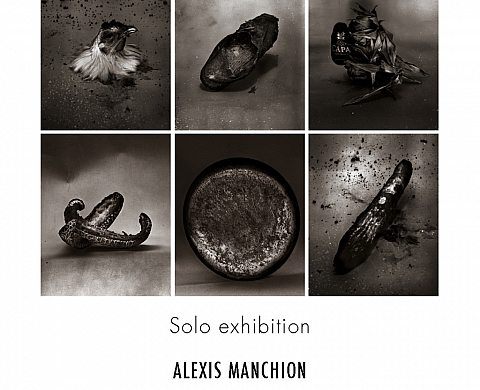 Exposition individuelle Alexis Manchion 