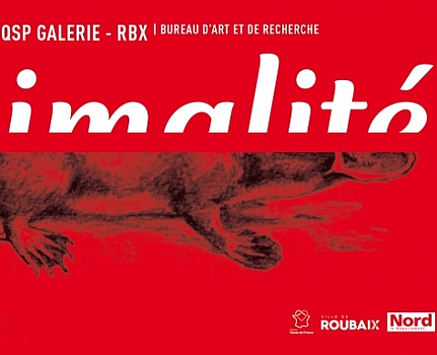 Animalité.  Alfonse, Paul et les autres - François Andes - Brahim Bachiri - Julien Faye - Bertrand Gadenne - Grégoire Motte & Eléonore Saintagnan - Elodie Wysocki