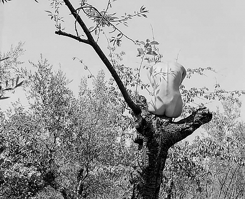 EXPOSED | A DECOUVERT