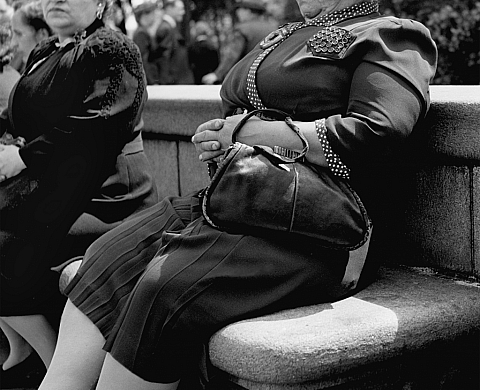 Première exposition de Fred Stein en France