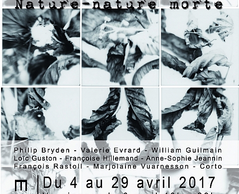 Regard d'ici et d'ailleurs 