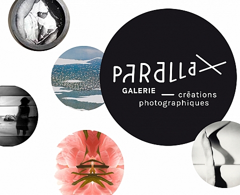 Exposition à la galerie PARALLAX