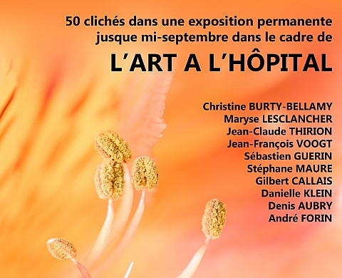 Exposition de photographies 